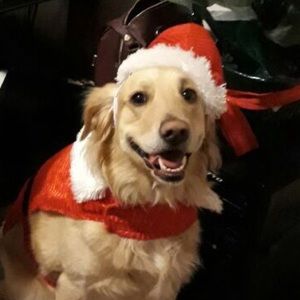 Meet your Posher, Gabriela